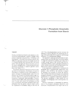 Experimental Protocol Glucose-1