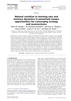 Natural variation in learning rate and memory dynamics in parasitoid