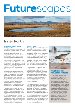 Inner Forth