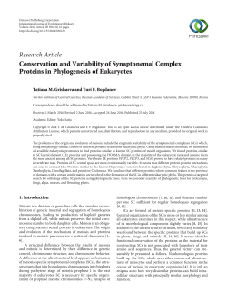 Conservation and Variability of Synaptonemal Complex Proteins in