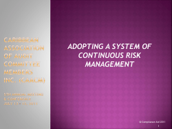 Adopting a system of continuous risk management