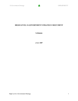 HIGH LEVEL E-GOVERNMENT STRATEGY DOCUMENT