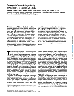 Endocytosis Occurs Independently of Annexin VI in Human A431 Cells
