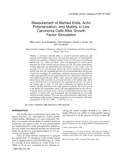 Measurement of Barbed Ends, Actin Polymerization, and Motility in
