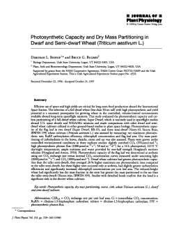 Photosynthetic capacity and dry mass partitioning in dwarf and semi