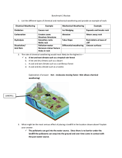 Plant Cell Animal Cell