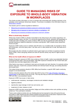 Guide to Managing Risks of Whole Body Vibration