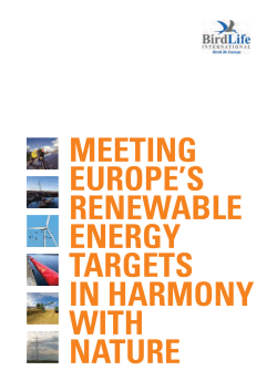 Meeting Europe`s renewable energy targets in harmony with
