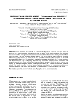 MYCOBIOTA ON COMMON WHEAT (Triticum aestivum) AND