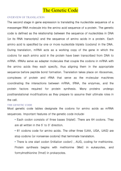 initiation codon