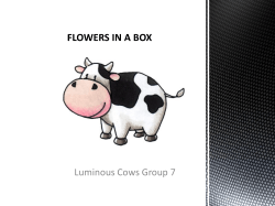 flowers in a box - E