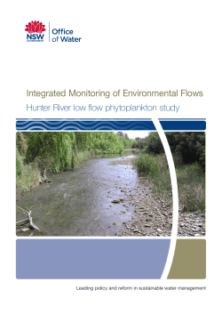Hunter River low flow phytoplankton study