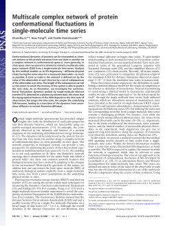 Multiscale complex network of protein conformational fluctuations in