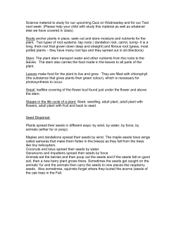 Science material to study for our upcoming Quiz on Wednesday and