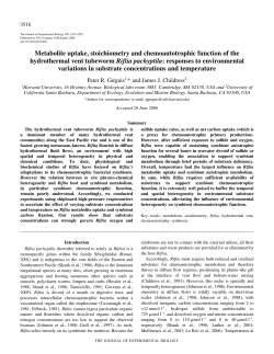 Metabolite uptake, stoichiometry and chemoautotrophic function of