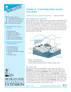 Conserving Water Around Your Home