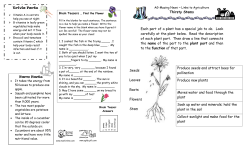 Each part of a plant has a special job to do. Look carefully at the