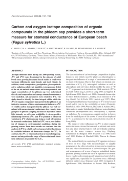 Carbon and oxygen isotope composition of organic compounds in