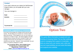 Leaflet-SDS Option Two