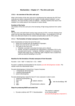 Steps for producing NADH and acetyl CoA