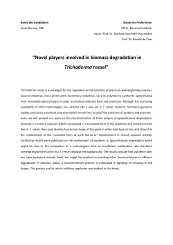 Novel players involved in biomass degradation in