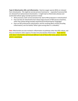 Topic 8: Mitochondria, ROS, and inflammation. Reactive oxygen