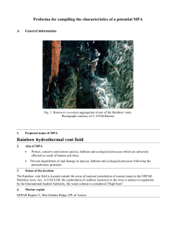 Rainbow hydrothermal vent field - CHARLIE