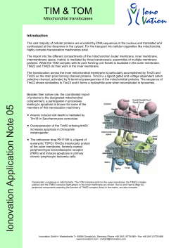 Flyer AN05 Tom40.cdr