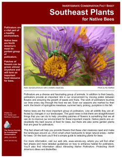 Southeast Plants for Native Bees