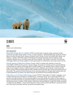 Create a zero carbon future. Renewable Energy Buyers Coalition