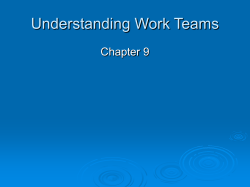 Understanding Work Teams