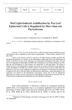 Red Light-Induced Acidification by Pea Leaf Epidermal Cells is