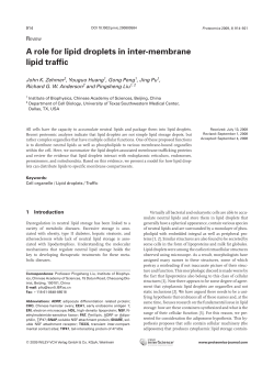 A role for lipid droplets in inter-membrane lipid traffic