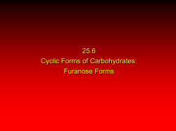 Furanose Forms