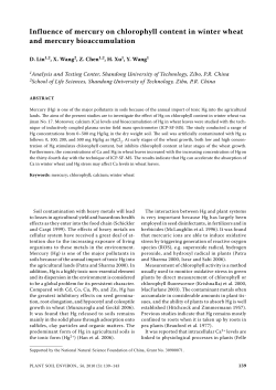 Influence of mercury on chlorophyll content in winter wheat and