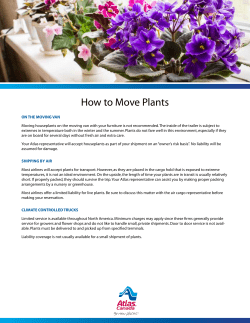 How to Move Plants - Atlas Van Lines (Canada)