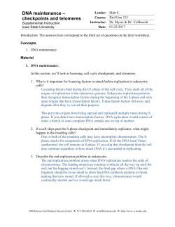 Answers for Worksheet 3.3 - Checkpoints and telomeres