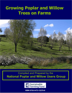 Growing Poplar and Willow Trees on Farms