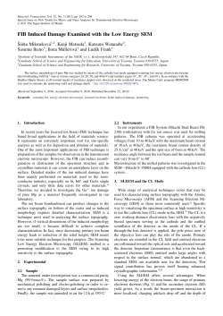 FIB Induced Damage Examined with the Low Energy SEM
