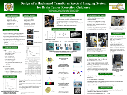 Design of a Hadamard Transform Spectral Imaging