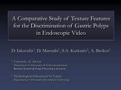 A Comparative Study of Texture Features for the