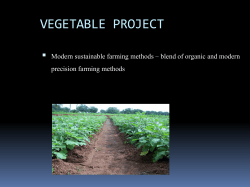 MODERN SUSTAINABLE FARMING METHODS