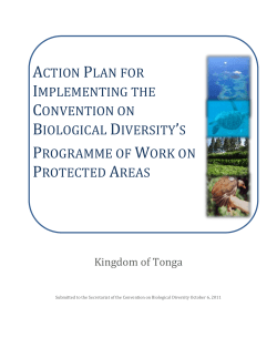 Priority actions for fully implementing the Programme of Work on