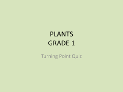 PLANTS GRADE 1