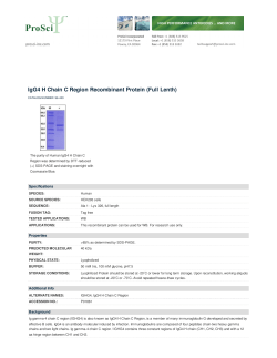 IgG4 H Chain C Region Recombinant Protein (Full Lenth)