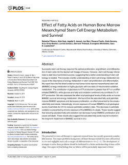 Effect of Fatty Acids on Human Bone Marrow Mesenchymal