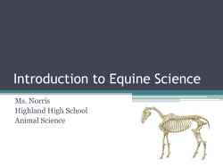 Introduction to Equine Science