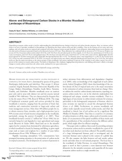 and Belowground Carbon Stocks in a Miombo Woodland