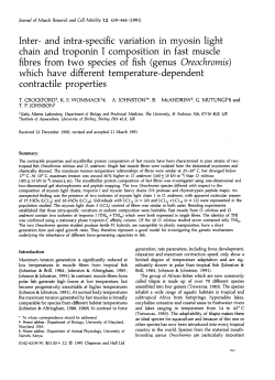 Inter- and intra-specific variation in myosin light chain and