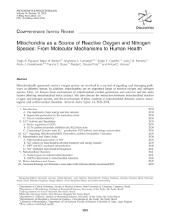 Mitochondria as a Source of Reactive Oxygen and Nitrogen